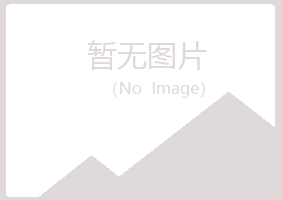 鹤壁山城夏槐化学有限公司